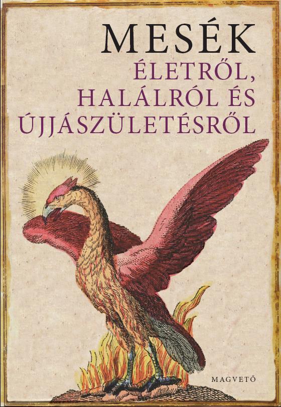 Boldizsr Ildik - Mesk letrl, Hallrl s jjszletsrl