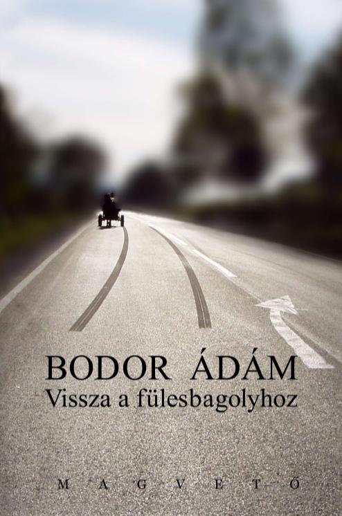 Bodor dm - Vissza A Flesbagolyhoz -