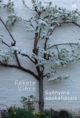 Fekete Vince - Gynyr Apokalipszis