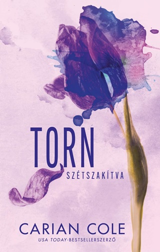 Carian Cole - Torn - Sztszaktva (ldekorlt)